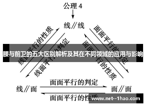 腰与前卫的五大区别解析及其在不同领域的应用与影响