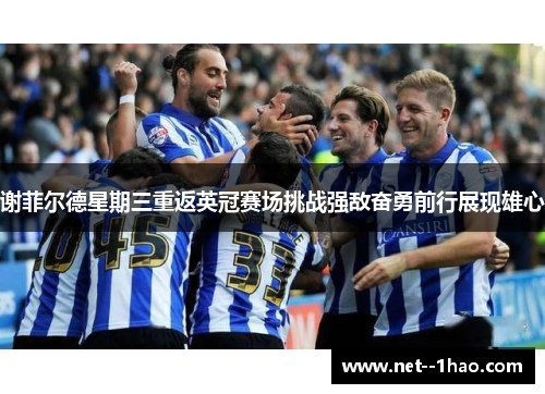 谢菲尔德星期三重返英冠赛场挑战强敌奋勇前行展现雄心