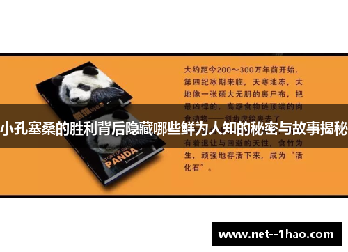 小孔塞桑的胜利背后隐藏哪些鲜为人知的秘密与故事揭秘