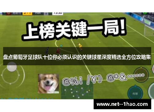 盘点葡萄牙足球队十位你必须认识的关键球星深度精选全方位攻略集