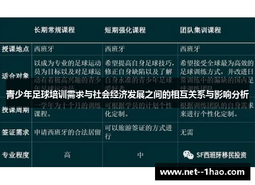 青少年足球培训需求与社会经济发展之间的相互关系与影响分析
