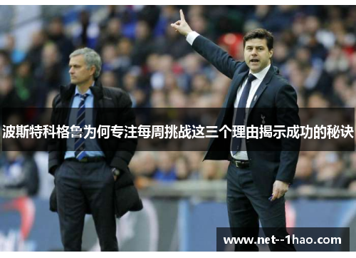 波斯特科格鲁为何专注每周挑战这三个理由揭示成功的秘诀