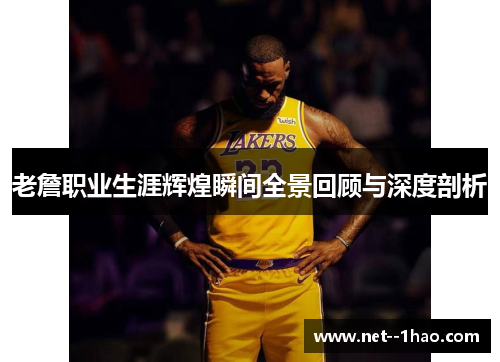 老詹职业生涯辉煌瞬间全景回顾与深度剖析
