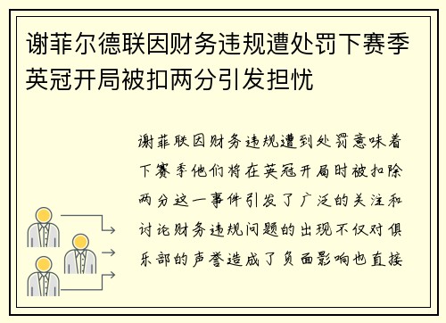谢菲尔德联因财务违规遭处罚下赛季英冠开局被扣两分引发担忧